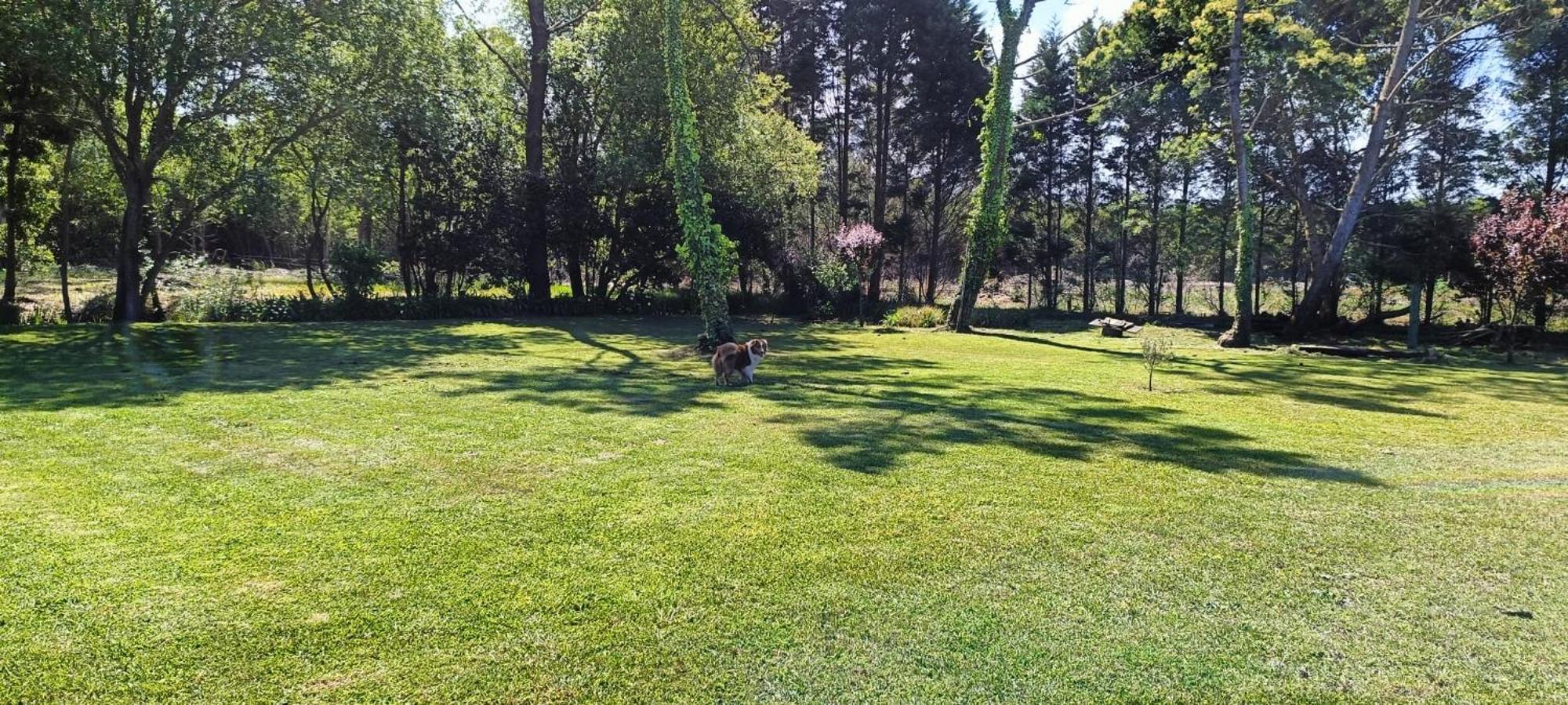 Casa Da Mata Vila Praia de Mira Exterior foto