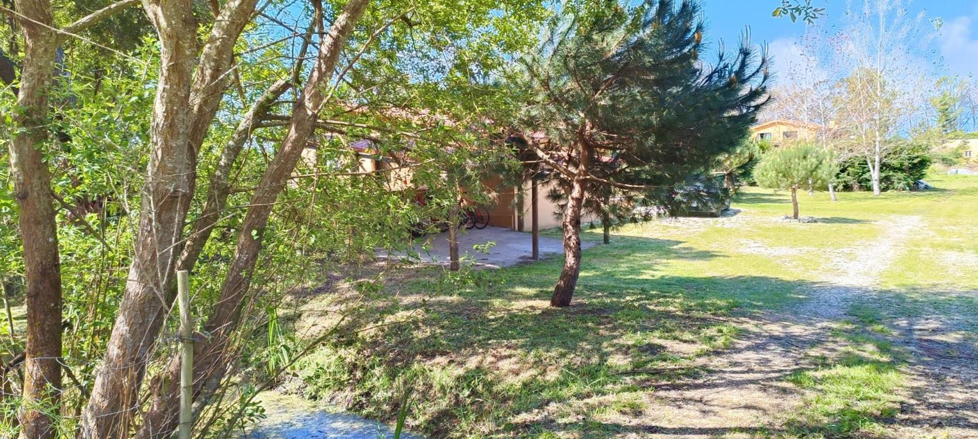 Casa Da Mata Vila Praia de Mira Exterior foto